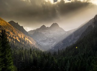 Гергана Танчова